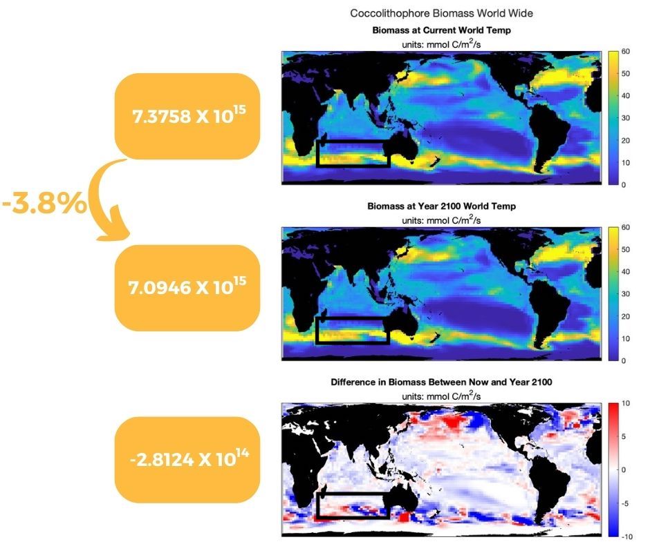 Southern Indian Ocean Exploration