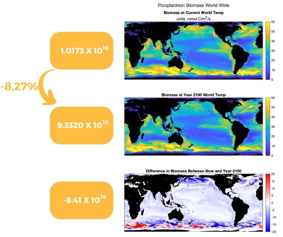Northern Pacific Ocean Picoplankton Exploration